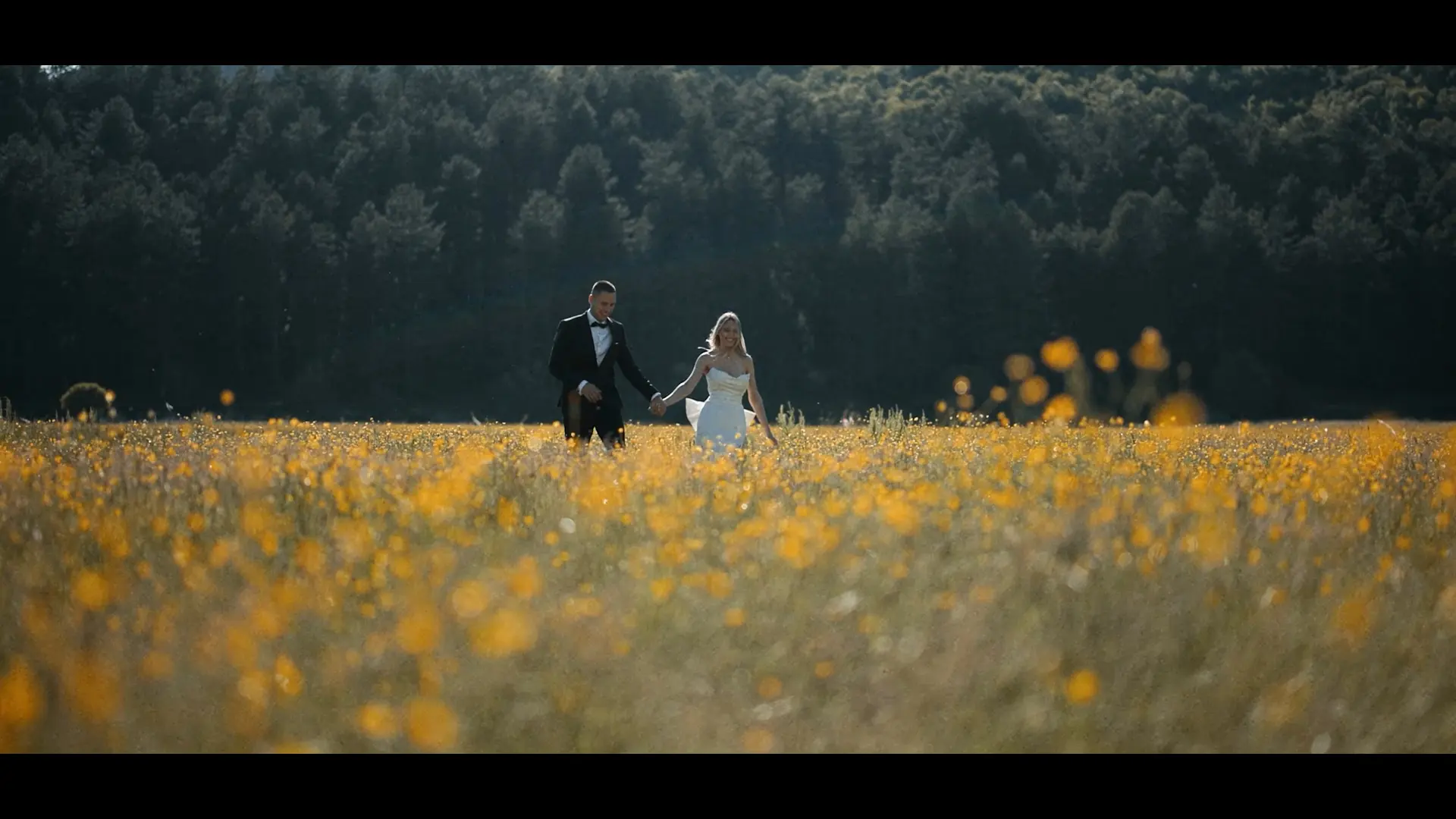 A couple walking through a sunlit meadow, Montenegro